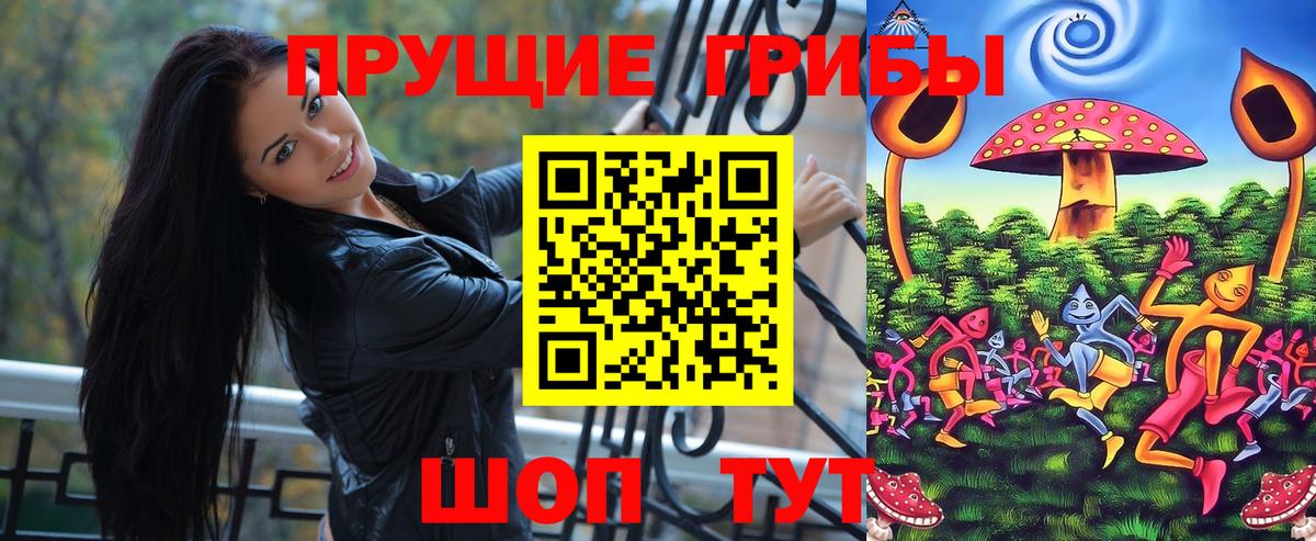 Псилоцибиновые грибы GOLDEN TEACHER Котовск