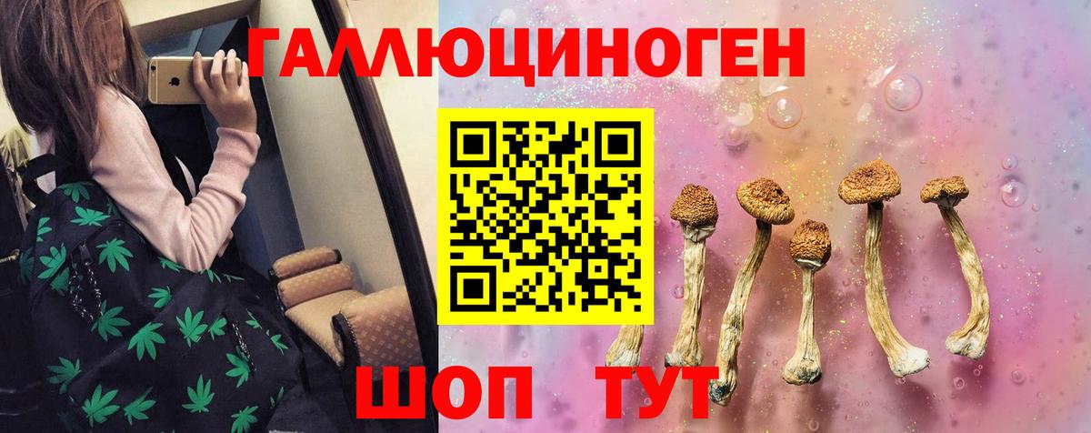 Галлюциногенные грибы MAGIC MUSHROOMS  Вход с VPN  Котовск 